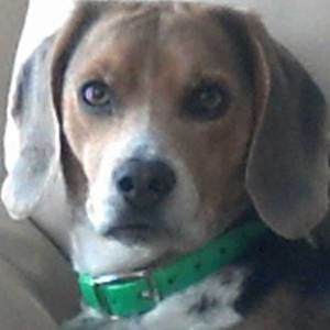 Meet your Posher, Michele